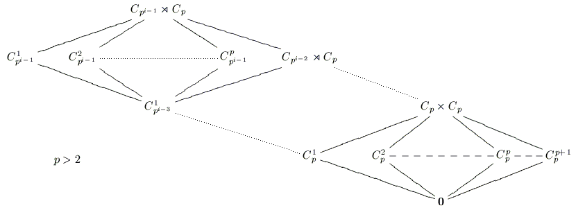 C_{p^{i-1}}\rtimes C_p