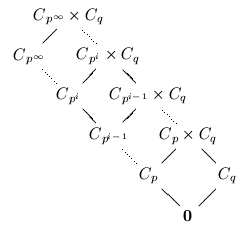 C_{p^\infty} x C_q