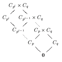 C_{p^i} x C_q
