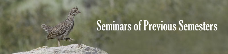 Seminars of Previous Semesters